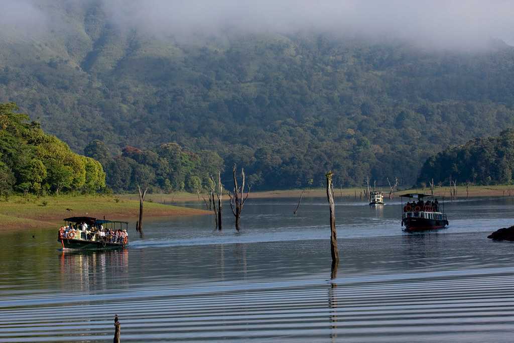 THEKKADY | Lifeline Hospital Kochi Kerala