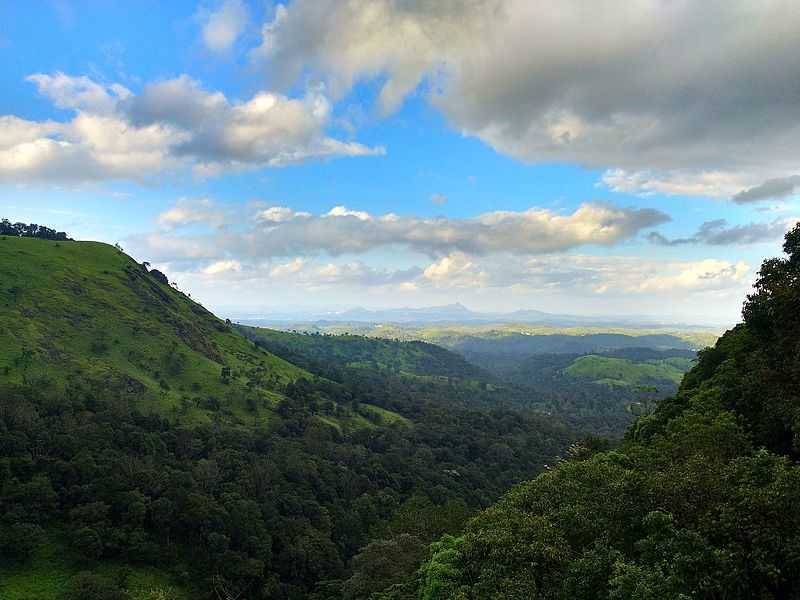 WAYANAD- Nature's Abode | Lifeline Hospital Kochi Kerala