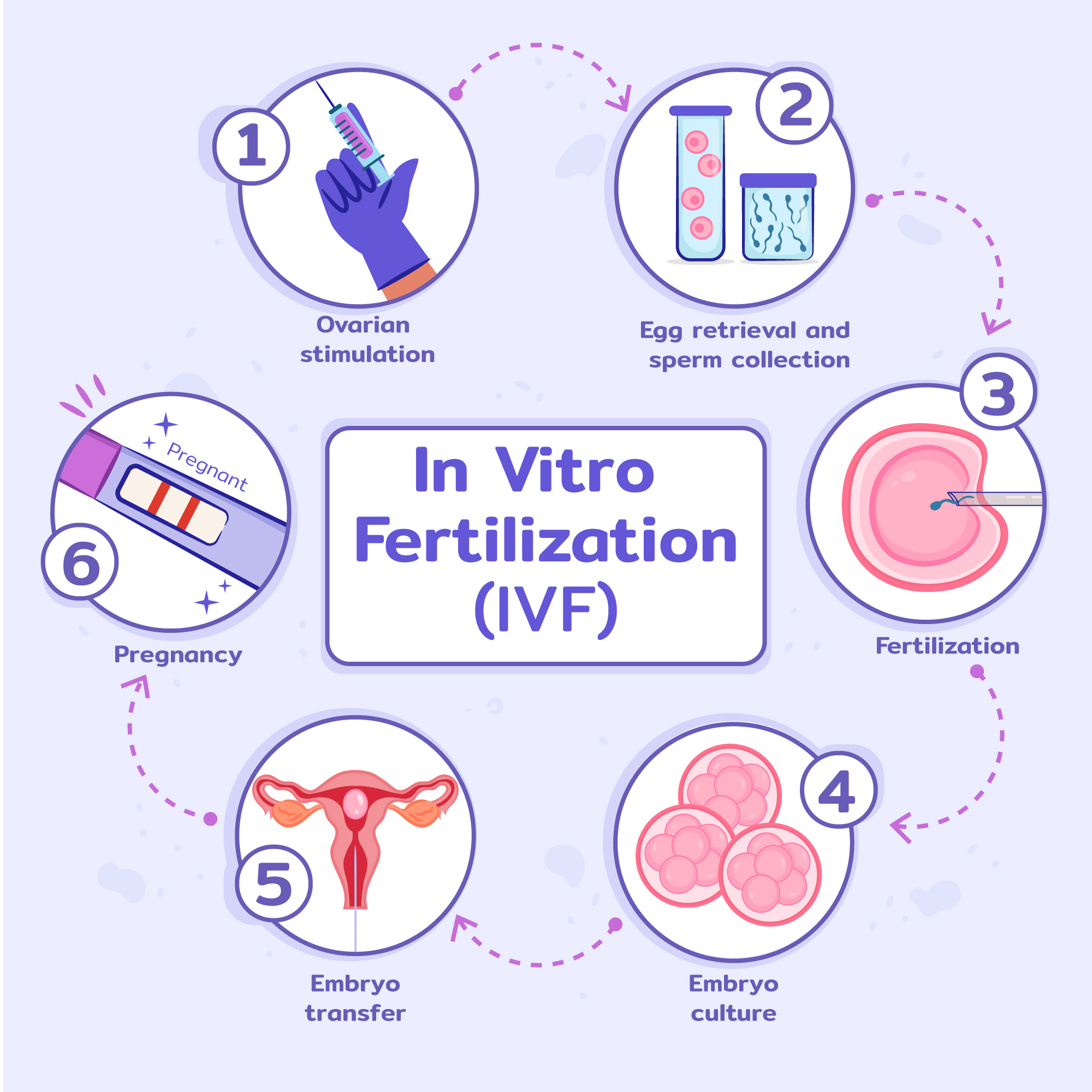Overcoming Infertility: A Step-by-Step IVF Guide | Lifeline Hospital Kochi Kerala