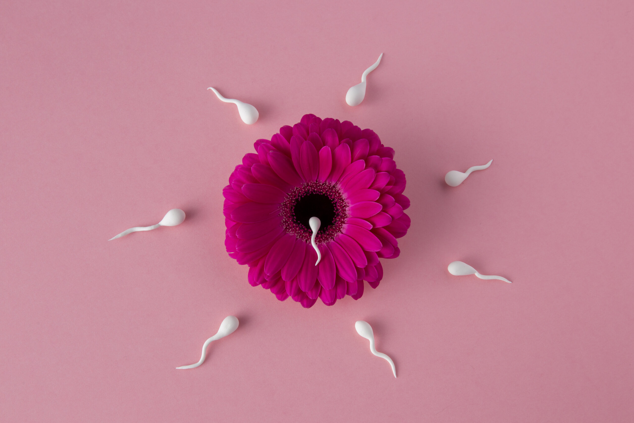 Infertility