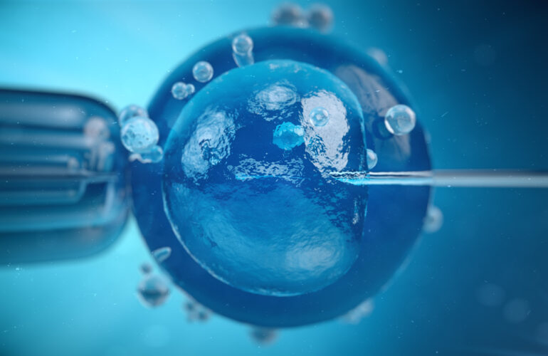 fertility preservation