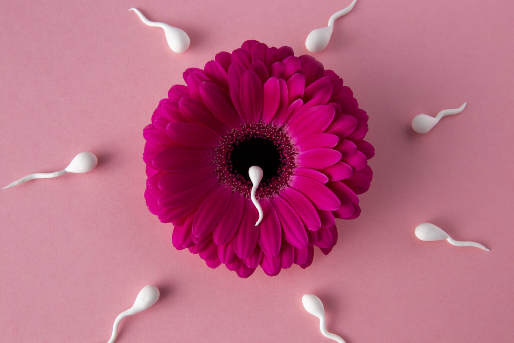 Embryo transfer process