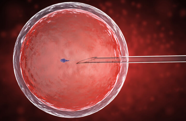 embryo freezing