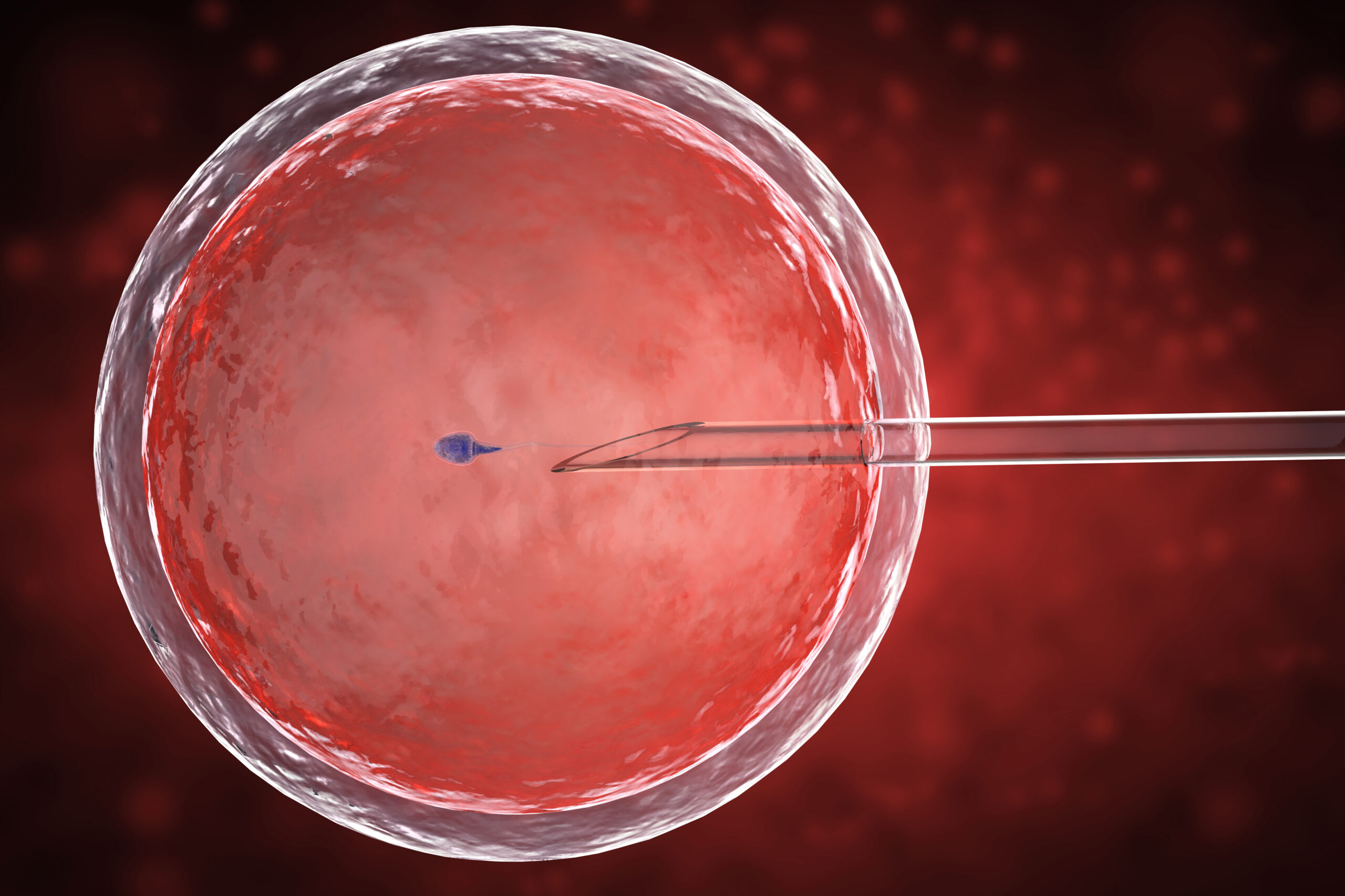 embryo freezing