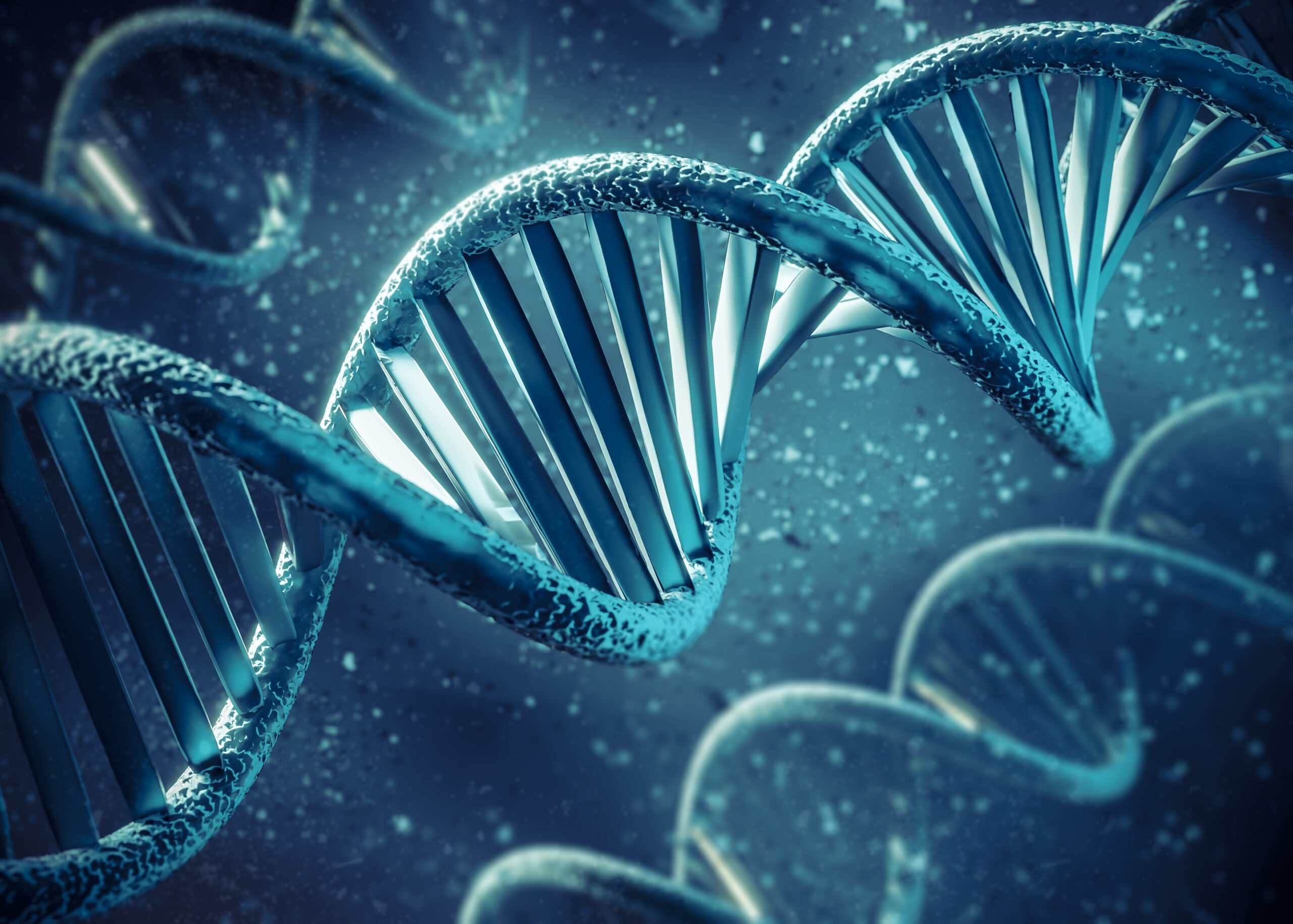 DNA Test